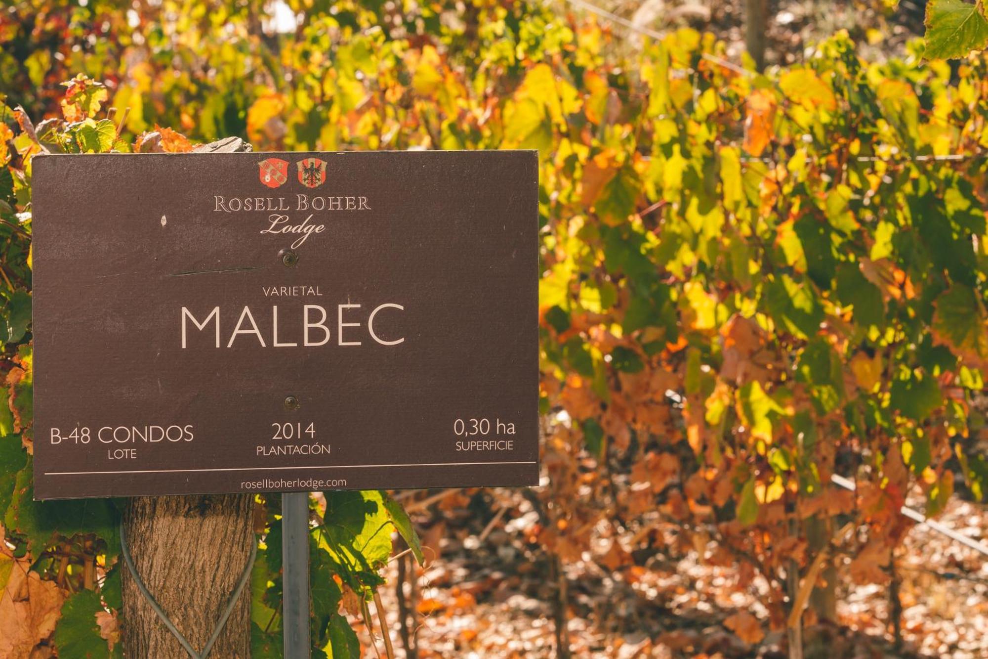 Rosell Boher Winery Lodge & Spa Agrelo Eksteriør bilde